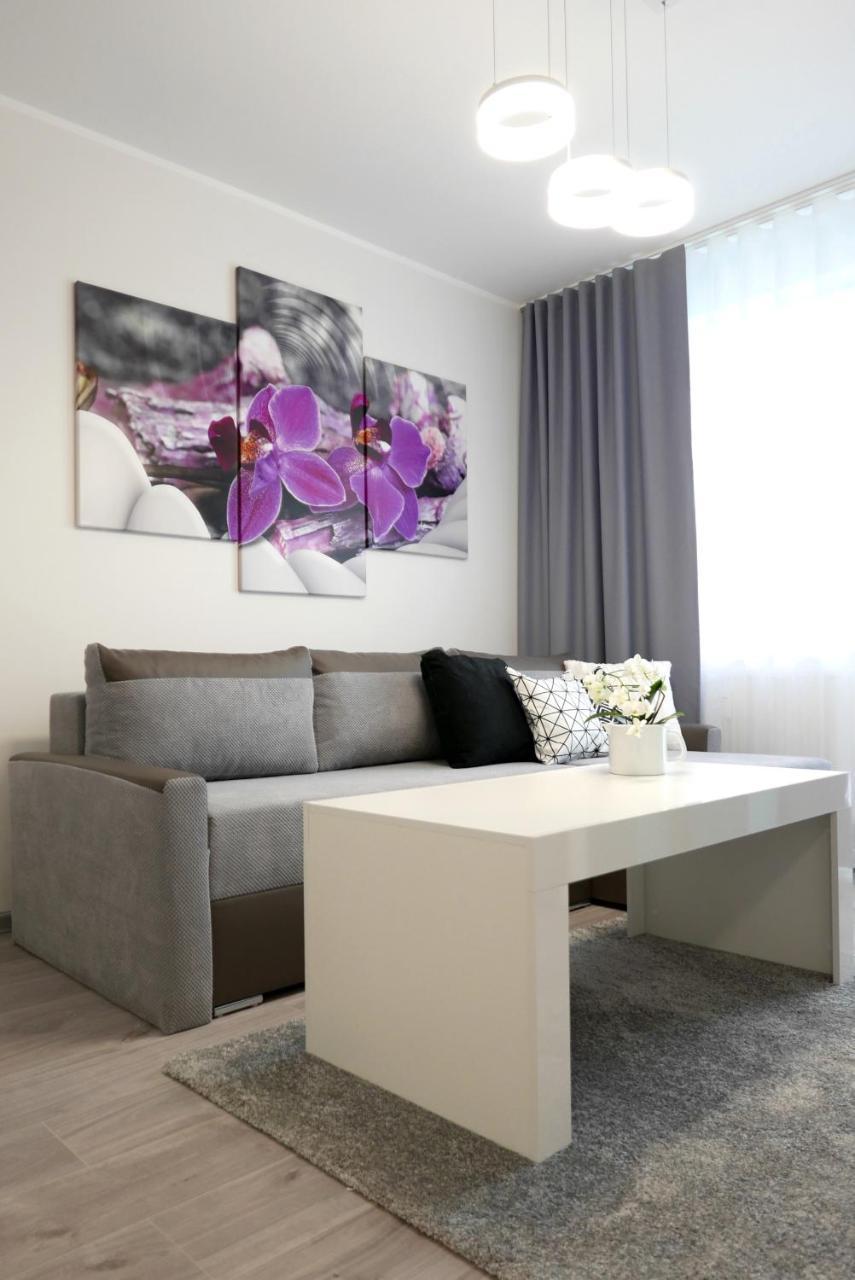 Apartamenty Mizu - Storczyk コウォブジェク エクステリア 写真